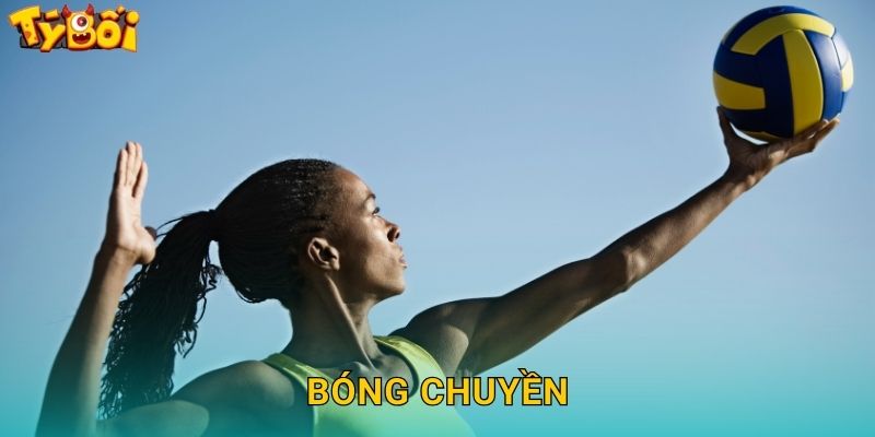 Bóng Chuyền Tyboi – Cược Volleyball Đỉnh Cao