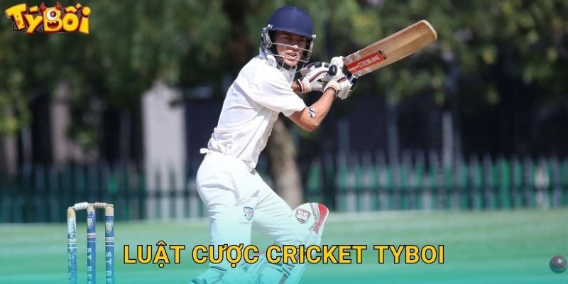 Luật Cược Cricket Tyboi