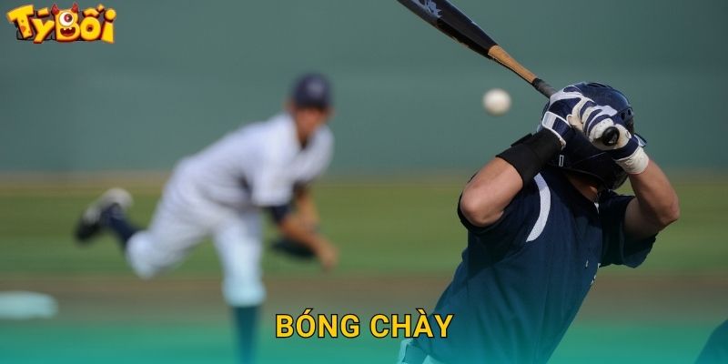 Bóng Chày Tyboi – Cược Baseball MLB Hấp Dẫn