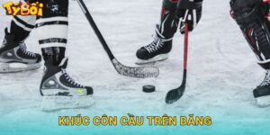 Khúc Côn Cầu Trên Băng Tyboi – Cược NHL Đẳng Cấp
