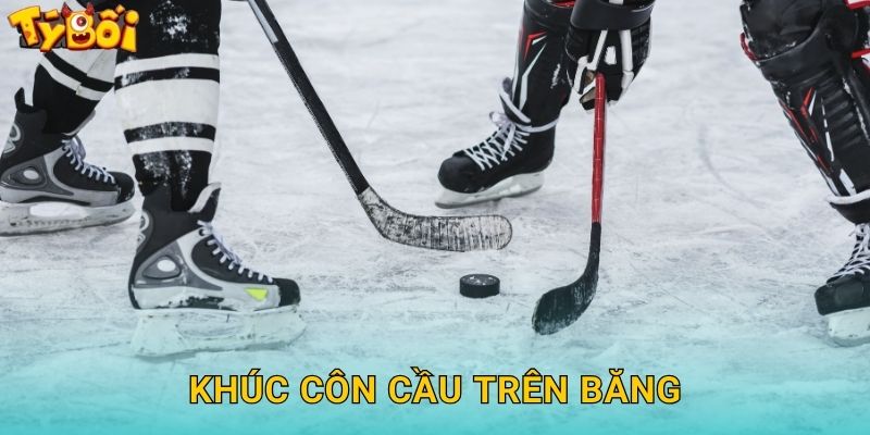 Khúc Côn Cầu Trên Băng Tyboi – Cược NHL Đẳng Cấp