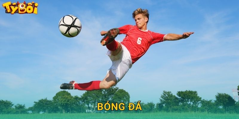 Bóng Đá Tyboi - Cược Football Toàn Cầu 1 Bóng Đá Tyboi – Cược Football Toàn Cầu