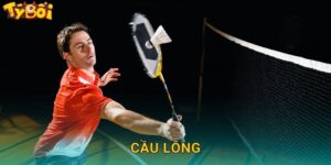 Cầu Lông Tyboi – Đặt Cược Badminton Chuyên Nghiệp