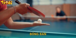 Bóng Bàn Tyboi – Cược Ping Pong Quốc Tế