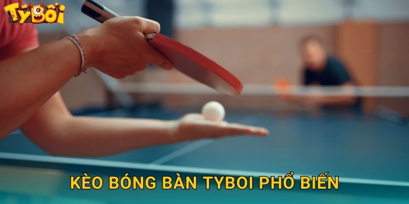 Bóng Bàn Tyboi - Cược Ping Pong Quốc Tế 2 Kèo Bóng Bàn Tyboi Phổ Biến