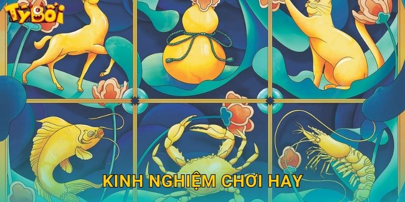 Kinh Nghiệm Chơi Hay